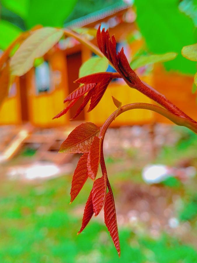 Shanti People Huts & Camp Kasol Luaran gambar