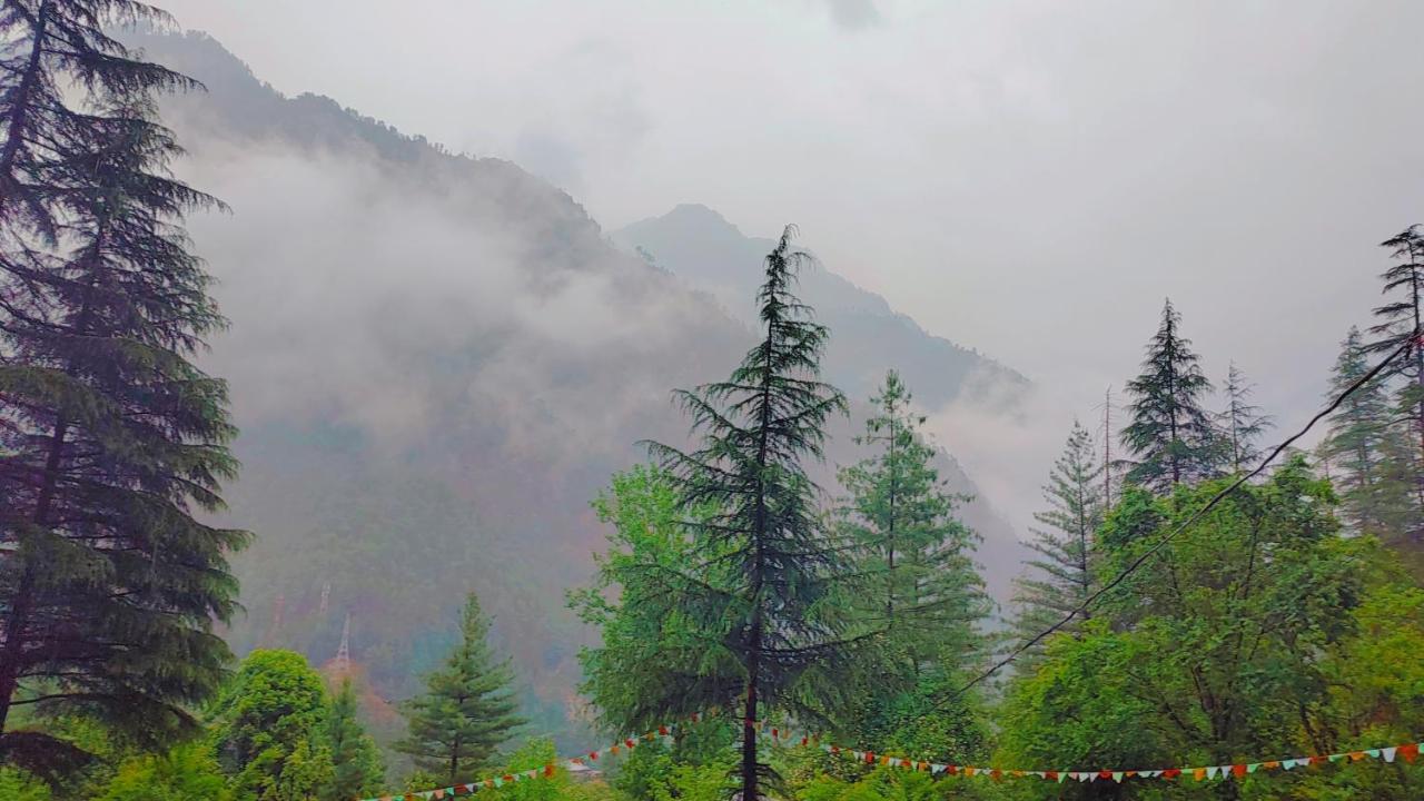 Shanti People Huts & Camp Kasol Luaran gambar